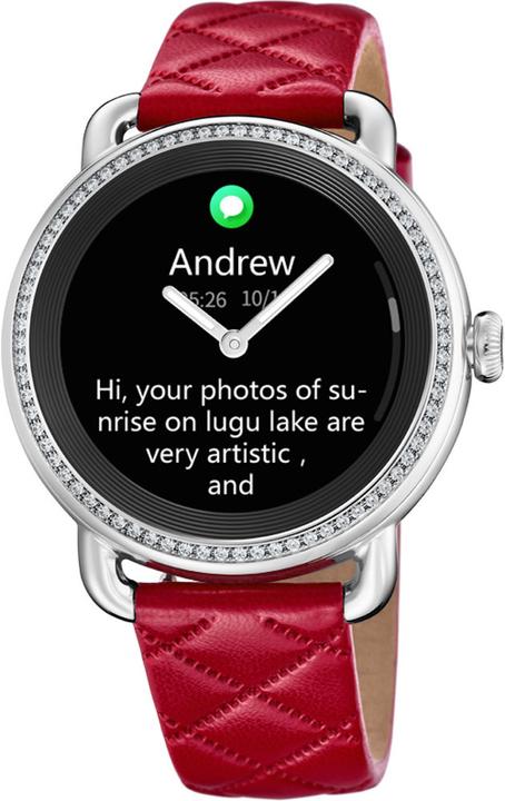 Festina Smartwatch (42 mm)