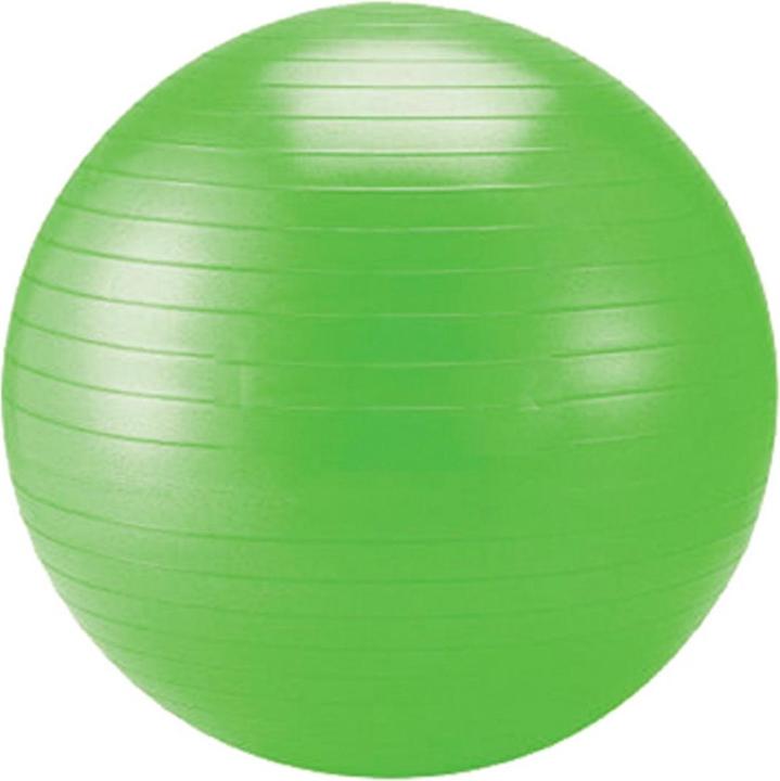 Schildkröt Gymnastikball (65 cm)