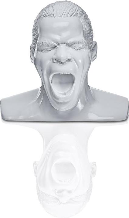 Image du produit Oehlbach Scream