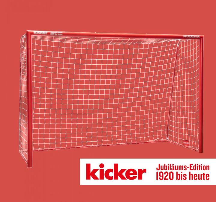 Image du produit Hudora Kicker Edition Expert 300