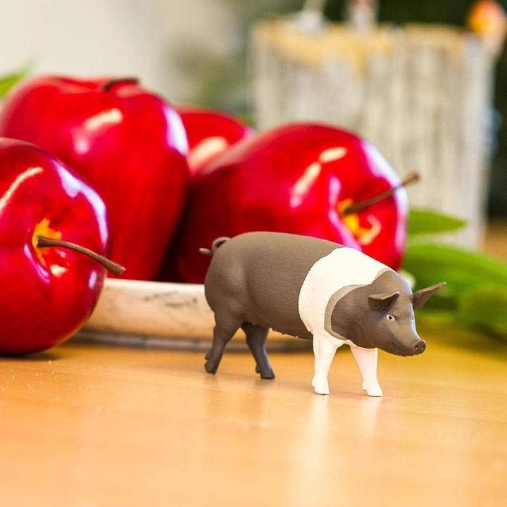 Produktbild Safari Hampshire-Schwein