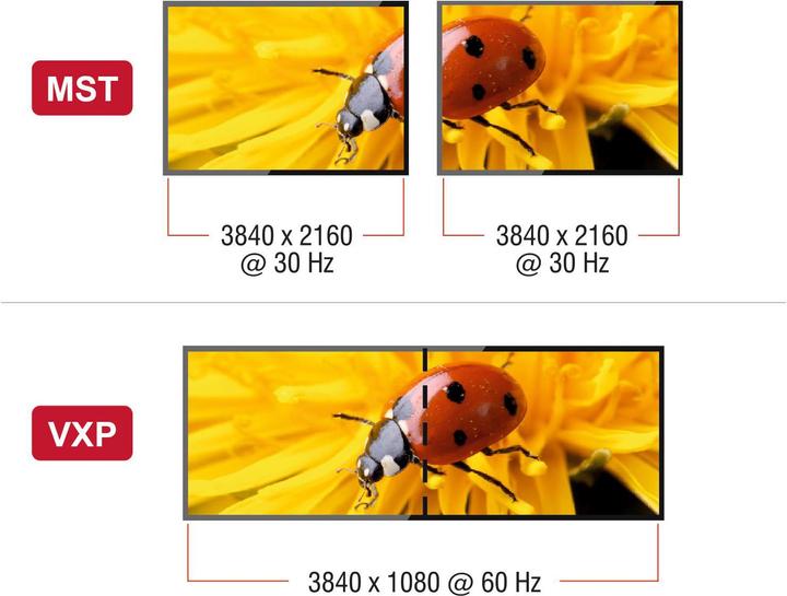 Produktbild Delock USB Typ-C zu 2 x HDMI (HDMI, 20 cm)