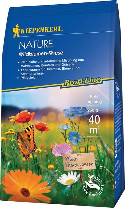 Image du produit Kiepenkerl Graines de prairie à fleurs P.L. Nature Prairie à fleurs sauvages 0,25 kg 40 m (Plante bulbeuse)