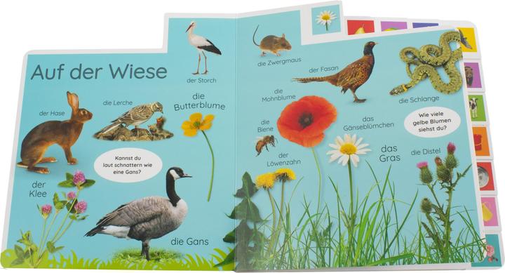 Produktbild Erstes Lernen. In der Natur (Deutsch, DK Verlag - Kids, 2021)