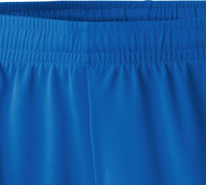 Actual product image Erima Classic 5-C Shorts (44)