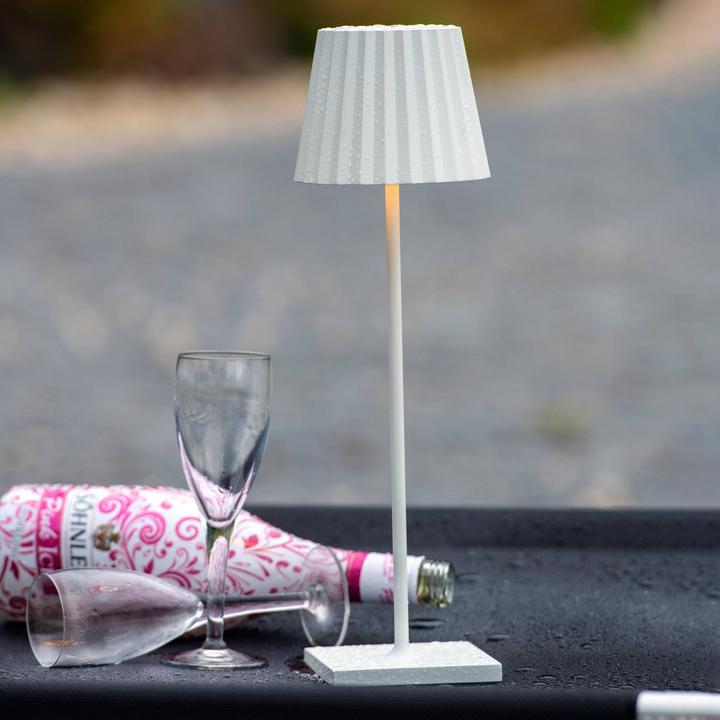 Actual product image Sompex Troll 2.0 (230 lm)