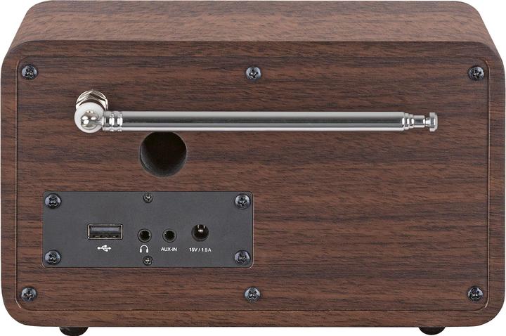 Actual product image Telestar DIRA M14i (Web radio, DAB+, VHF, FM, Bluetooth, Wi-Fi)