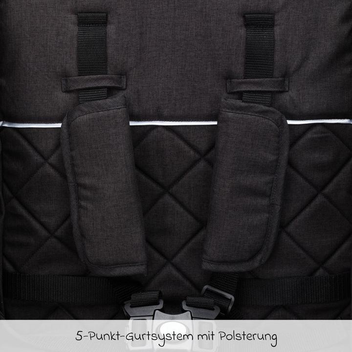 Produktbild Fillikid Buggys & Sportwagen Buggy & Sportwagen Styler Elite bis 22 kg