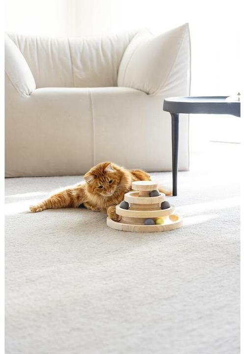 Actual product image Designed by Lotte Mia (Cat ball toy)
