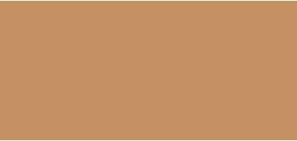 Kylie Jenner Kylie Cosmetics Power Plush Longwear Concealer - 5 Ml