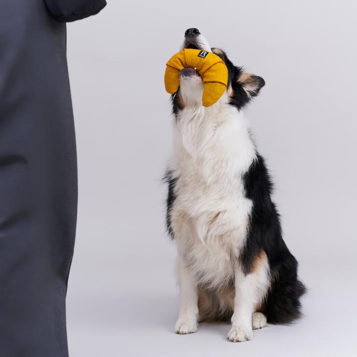 Produktbild Redoggo Schnüffelspielzeug mit Leckerli Taschen (Snackbeutel Hund)