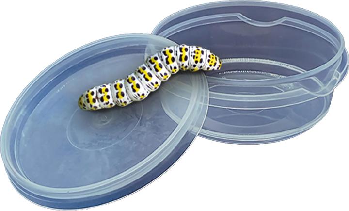 Productafbeelding Ses Insecten Verkenner