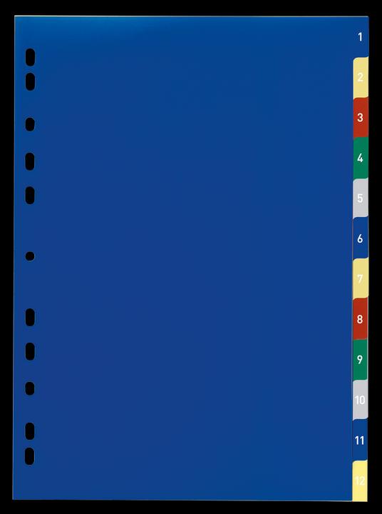 Immagine prodotto Durable Registri PP, varie versioni, singolo