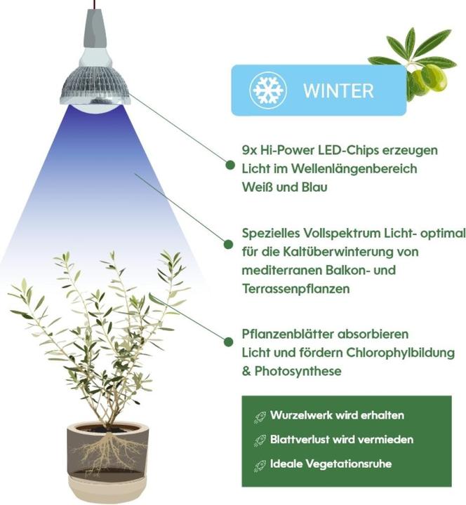 Produktbild Venso Grow Light Winter (LED, 245 V)