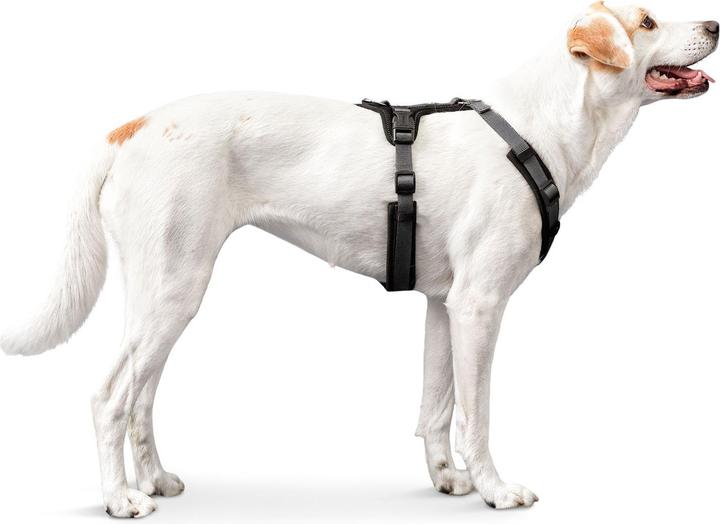 Productafbeelding Hunter Maldon Up hondentuig (M, Hond, Algemeen)