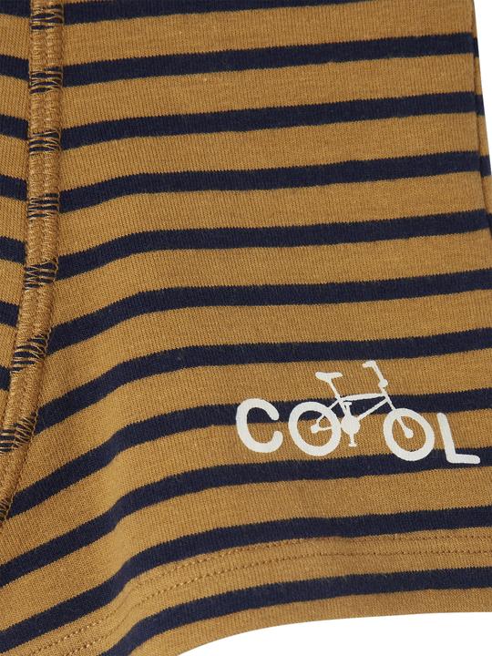 Immagine prodotto Vertbaudet Bio-Kollektion: 5er-Pack Jungen Boxershorts mit Streifen, Stretch (92, Confezione da 5 pezzi)