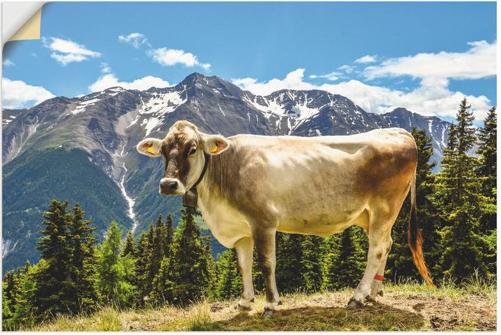 Artland Mountain cow in the Alps in summer T1NN (90 x 60 cm)