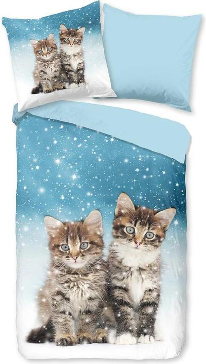 Traumschlaf Cats