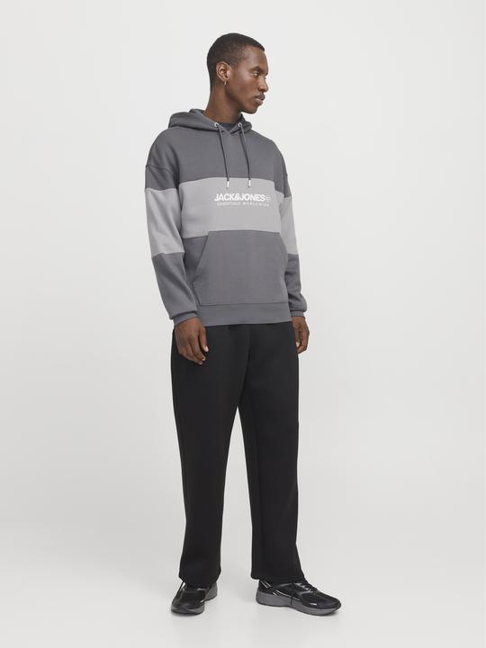 Actual product image Jack & Jones Jjelegacy Blocking Sweat Hood Noos (XS)