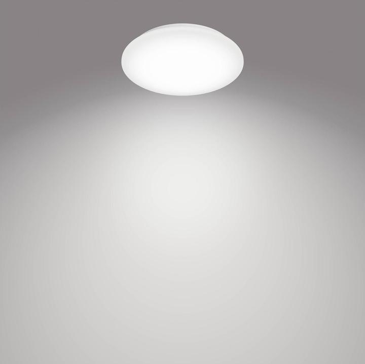 Image du produit Philips Moire (1100 lm)