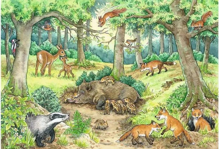 Produktbild Ravensburger Wieso? Weshalb? Warum? Tiere im Wald und auf der Wiese (24 Teile)