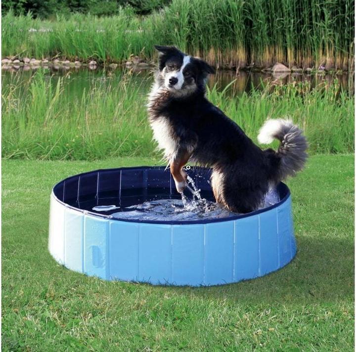 Produktbild Trixie Hundepool (Hundepool)