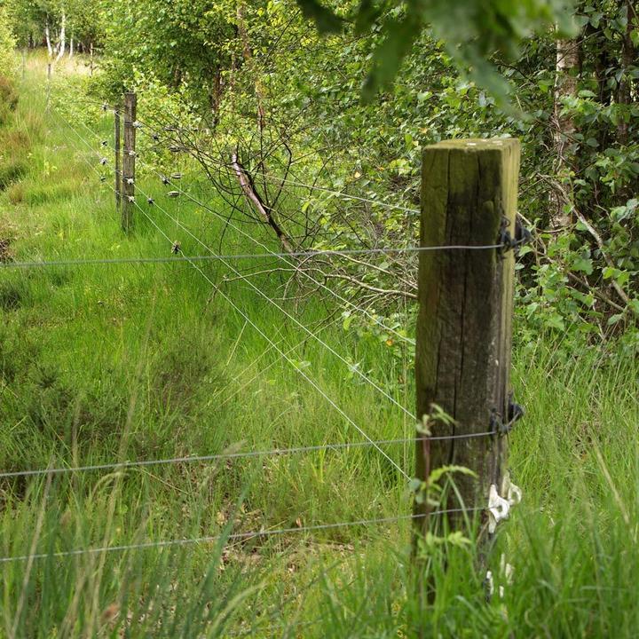 Produktbild Gallagher Isolatoren für Elektrozaun Unterstützung super