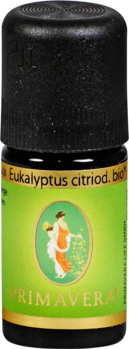 Primavera Eukalyptus citriodora* bio