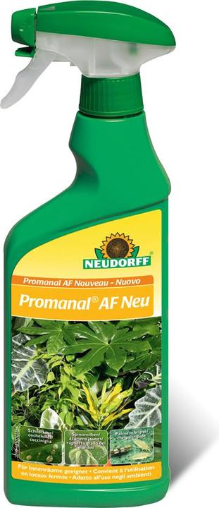 Produktbild Neudorff Promanal AFSchild- & Wolllausfrei (Wollläuse, Schildläuse)