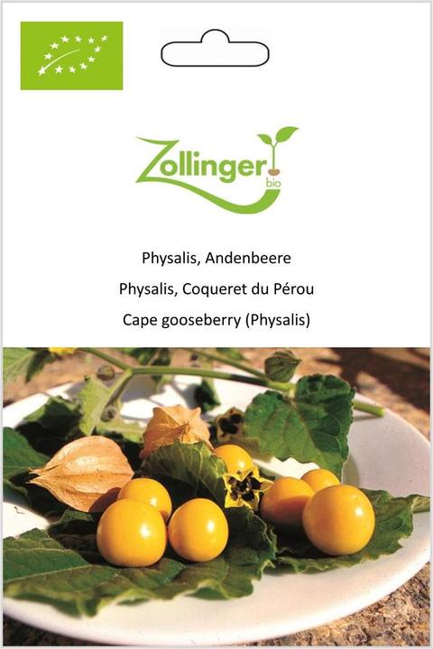 Produktbild Zollinger Bio Physalis, Andenbeere (Samenbomben)