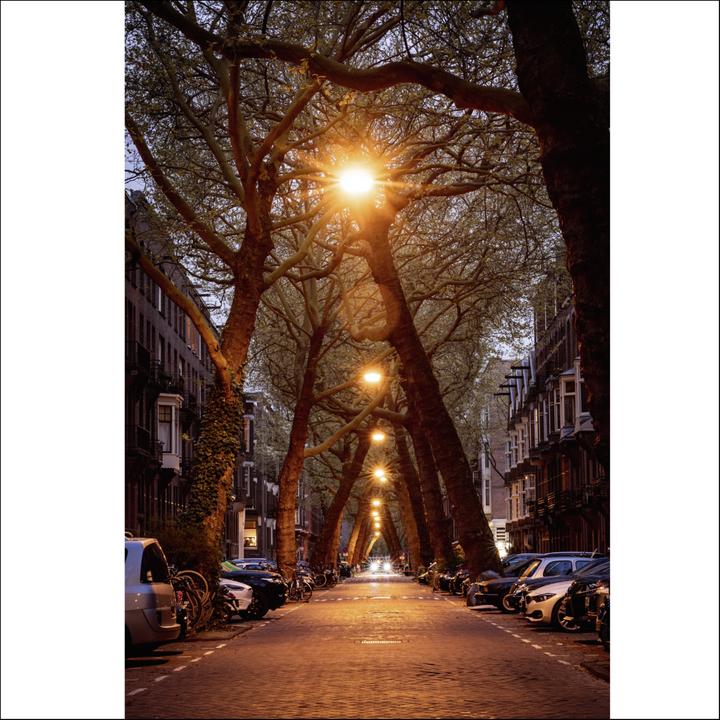 Image du produit Samyang MF 1,4/85 MK2 Fuji X (Fujifilm X, Plein format, APS-C / DX)