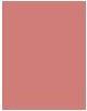 Actual product image Bourjois Little Round Potusher Gown For Cheeks 74 Rose Ambre 2.5G (Eau de parfum)