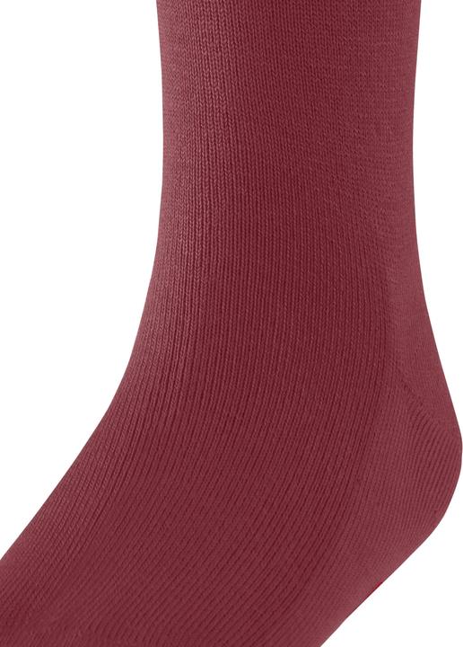 Immagine prodotto Falke Family KH (19 - 22)
