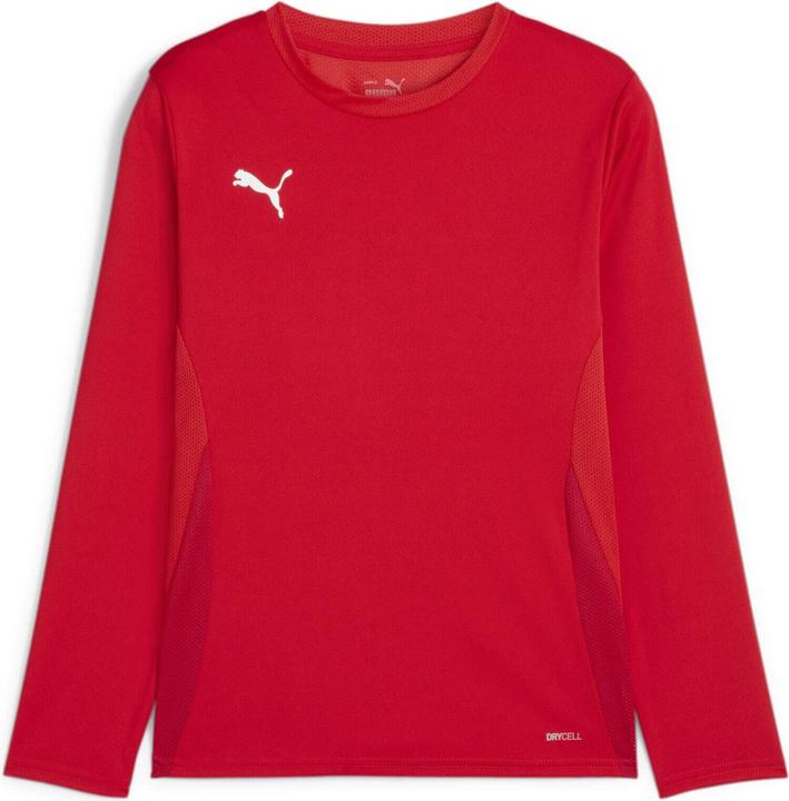 Puma teamGOAL LS Jersey Jr