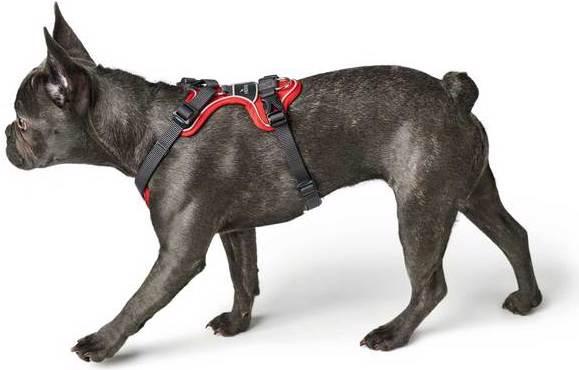 Immagine prodotto Hunter Divo (L, Cane, Generale)