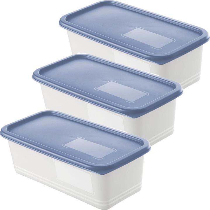 Actual product image Rotho Domino (1.20 l)