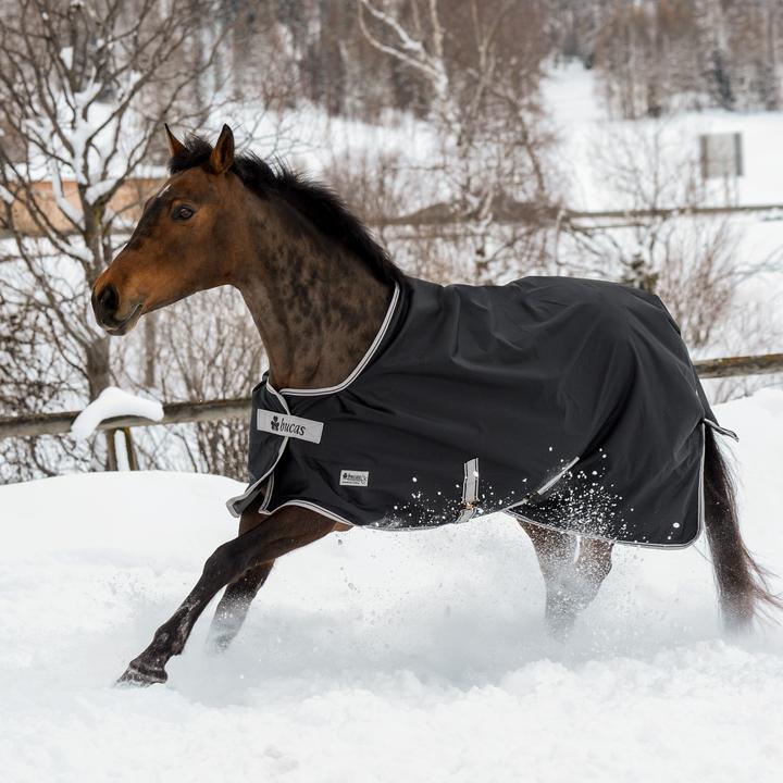 Produktbild Bucas Outdoordecke Anniversary Turnout Light 0g Stay-Dry (125 cm)