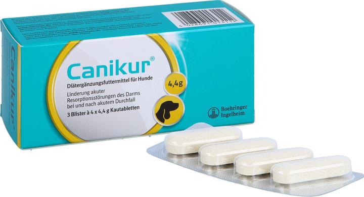 Actual product image Canikur Supplementary feed chewable tablet 4.4 g dog (12 pcs., 68 g)
