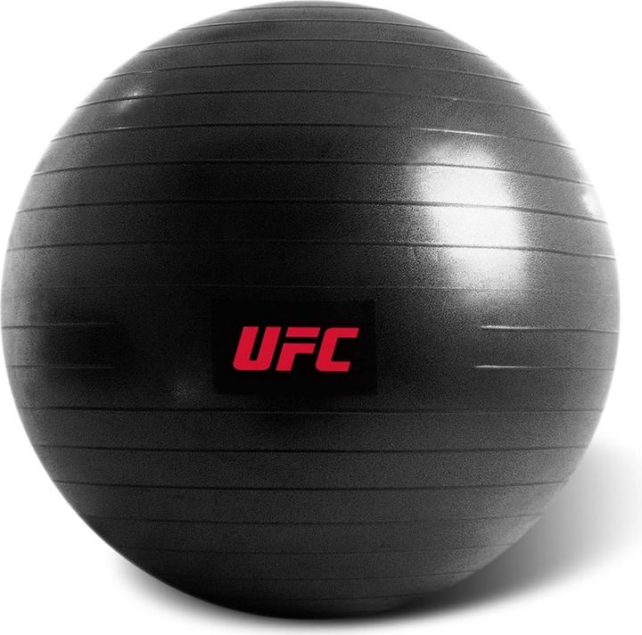 Actual product image UFC Fitball - 75cm (75 cm)