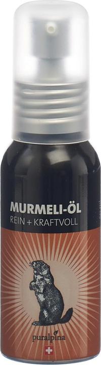 Produktbild Puralpina Murmeli-Öl rein & kraftvoll (50 ml, 68 g)