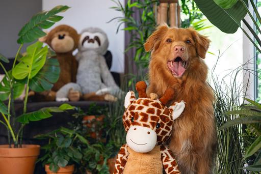 Produktbild Beeztees Hundespielzeug Giraffe XL (Plüschspielzeug Hund)