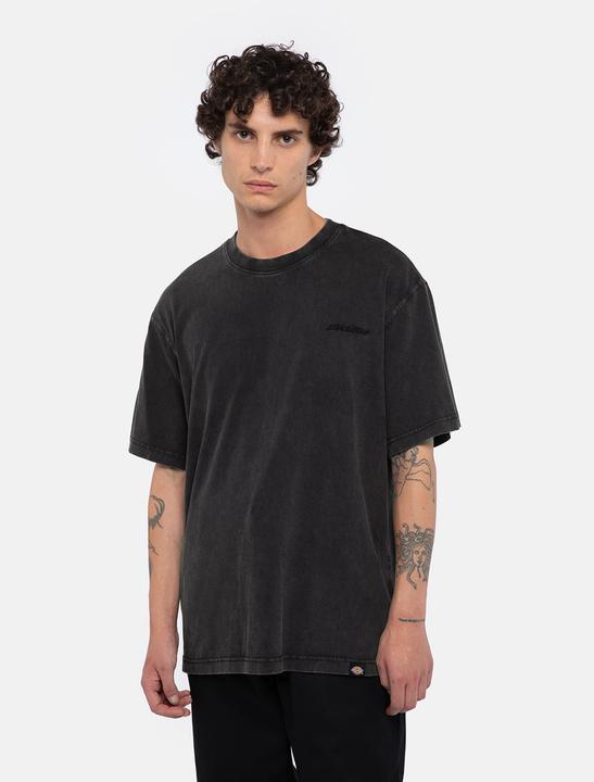 Actual product image Dickies Plentywood Tee Ss Dble Dye/Acd Bl (S)