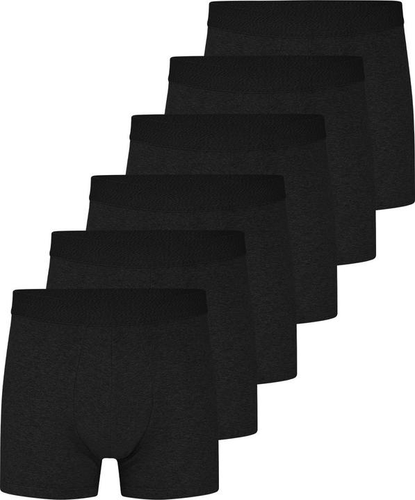 Almonu 6er Pack Organic Cotton - Melange Retro Short / Pant