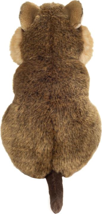 Produktbild Teddy Hermann 923251 - Quokka, 24cm, Plüschtier mit Tier-Infos, Sonderkollektion: erkl (24 cm)
