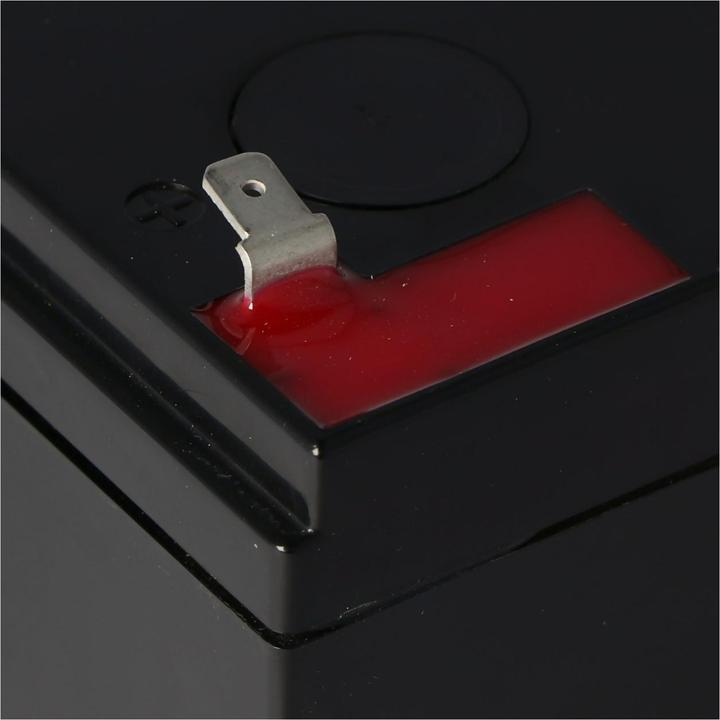 Actual product image Panasonic Battery LC-RA1212PG, plug-in contacts 4.8mm (12 V, 12 Ah)