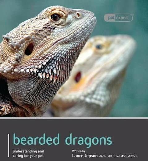 Produktbild Bearded Dragon - Pet Expert (Englisch, Lance Jepson, 2011)