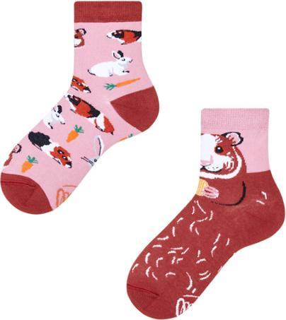 Actual product image Many Mornings Miss Guinea Pig (Single pack, 23 - 26)