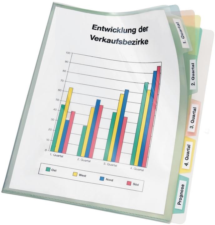 Produktbild Veloflex Registerhülle DIN A4 mit farbiger Unterteilung