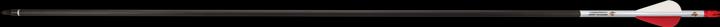 Skylon Archery 30" Carbon Fastwing Medium 100er-Pack