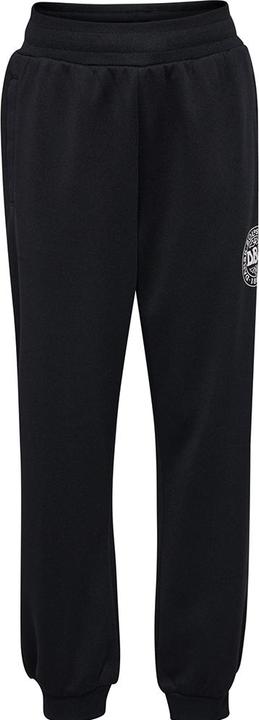 Actual product image hummel Dbu Track Suit Pants (146)